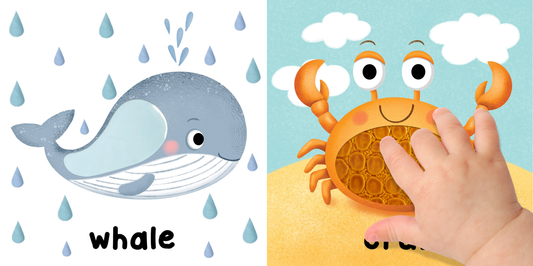Brilliant Baby: In the Ocean  - Children's Touch and Feel and Learn Sensory Board Book