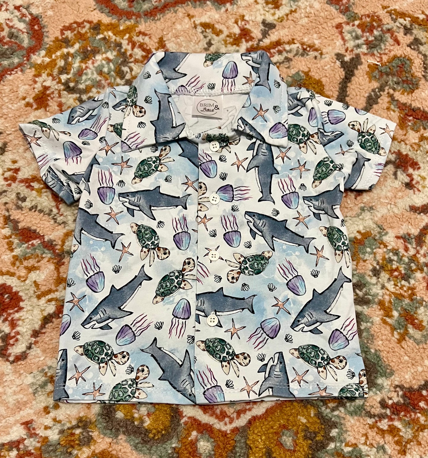 Ocean Explorer Button Down