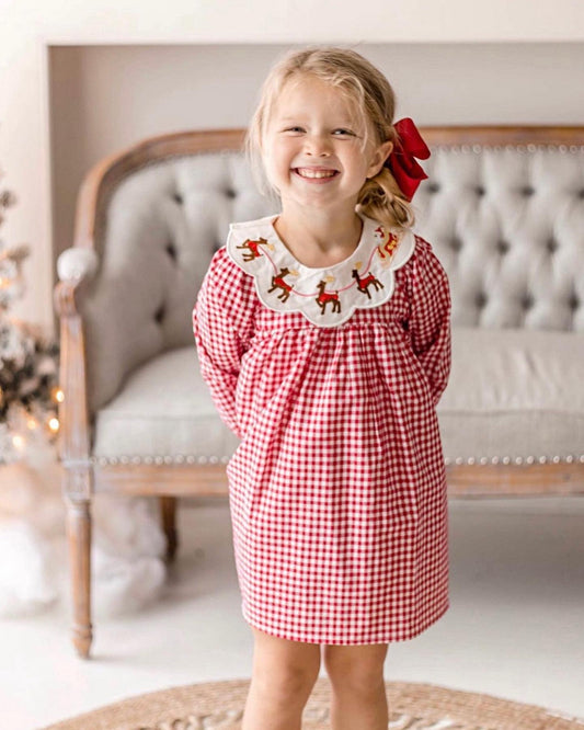 Guide My Sleigh Dress